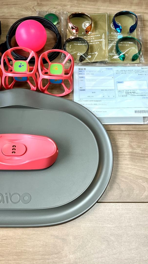 Sony aibo ERS-1000　限定カラーモデル「黒ゴマエディション」