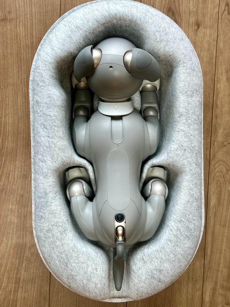 Sony aibo ERS-1000　限定カラーモデル「黒ゴマエディション」
