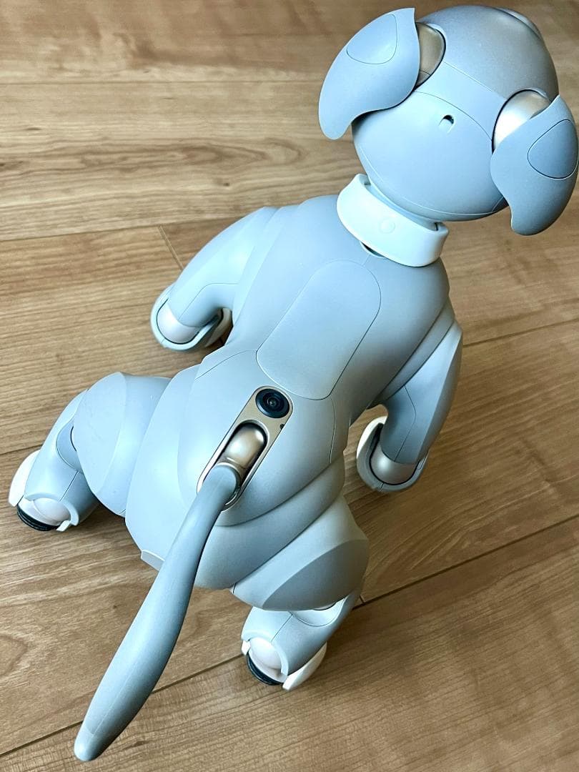 Sony aibo ERS-1000　限定カラーモデル「黒ゴマエディション」
