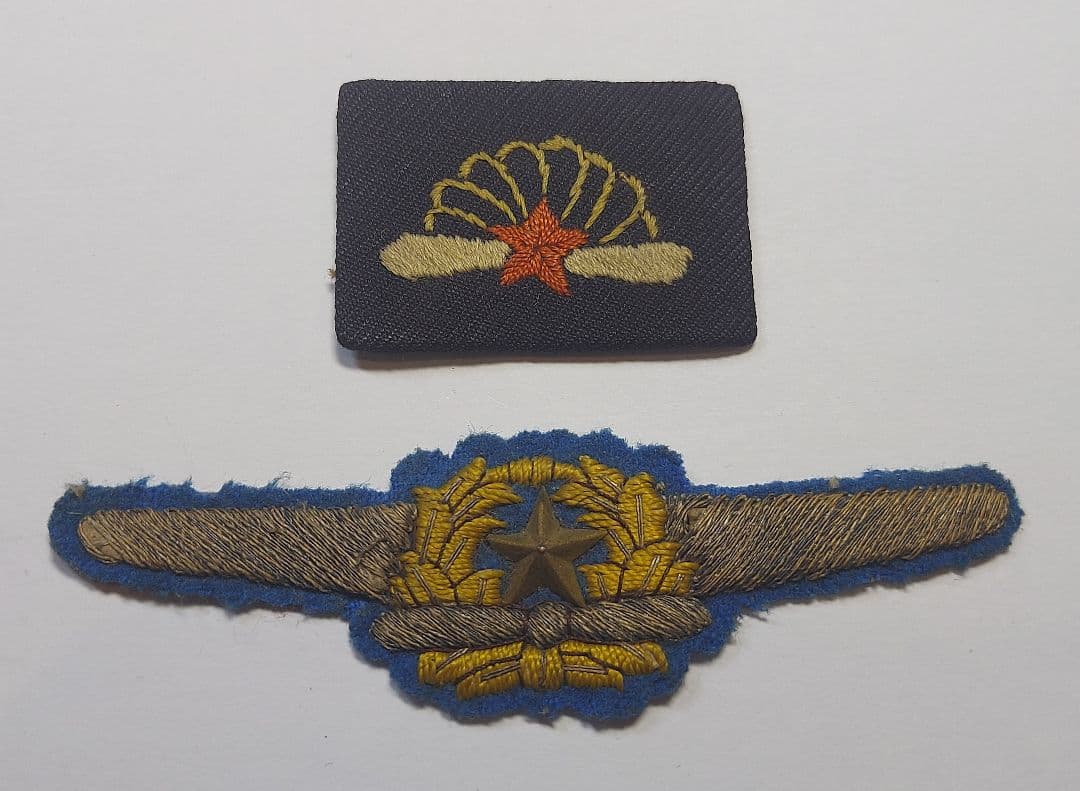 日本陸軍 航空胸章 将校用 他 セット