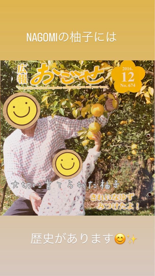 20年間農薬＆化学肥料不使用のNAGOMIの柚子10kg