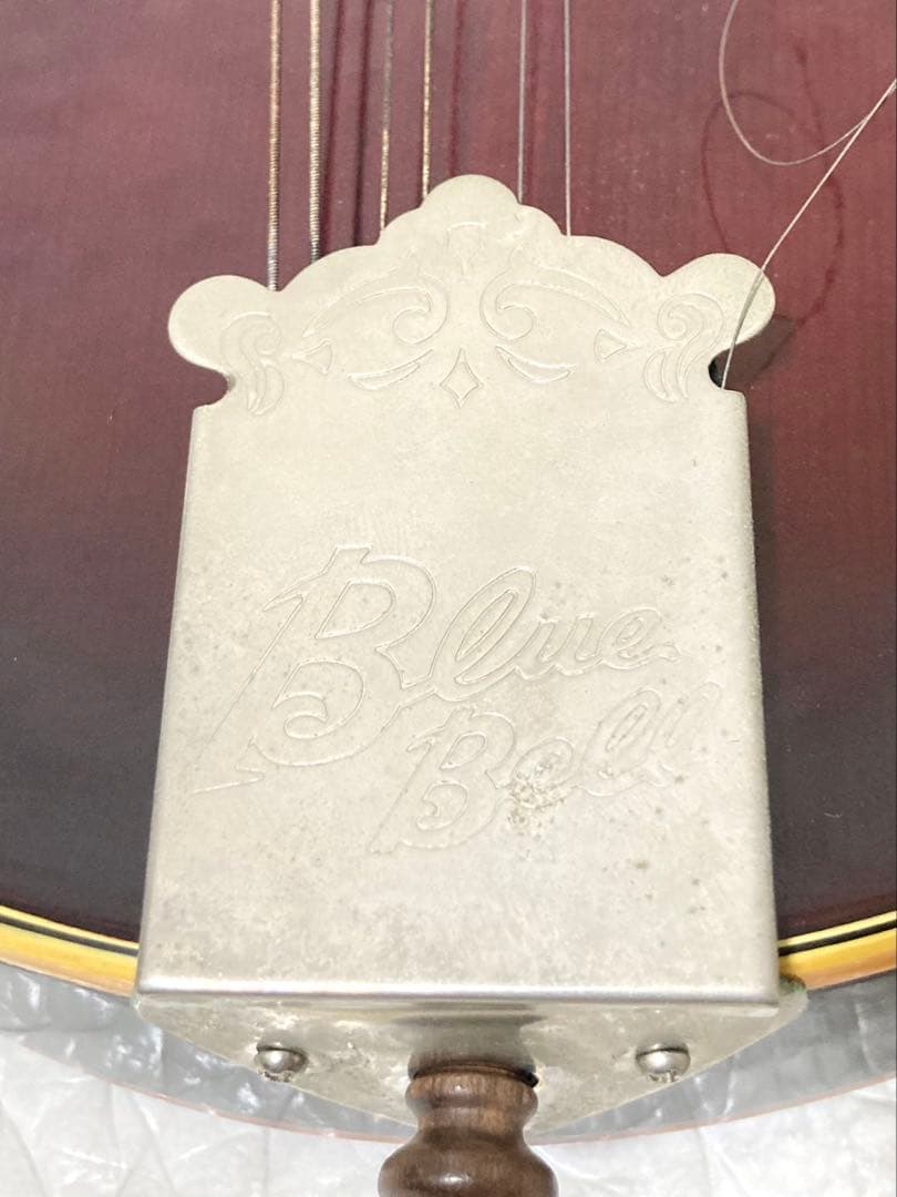 【希少】BlueBell フラットマンドリン 高級 F-15 小坂部氏サインあり