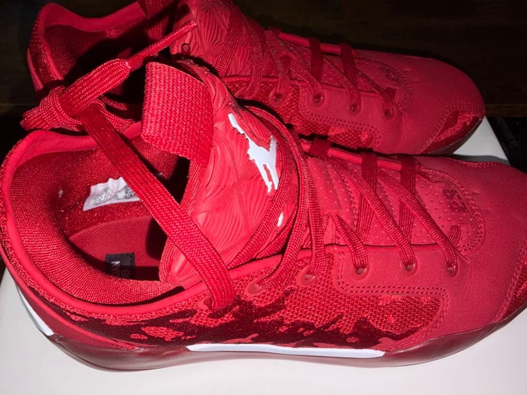 NIKE AIR JORDAN 39 エアージョーダン39 aj39 AJ39