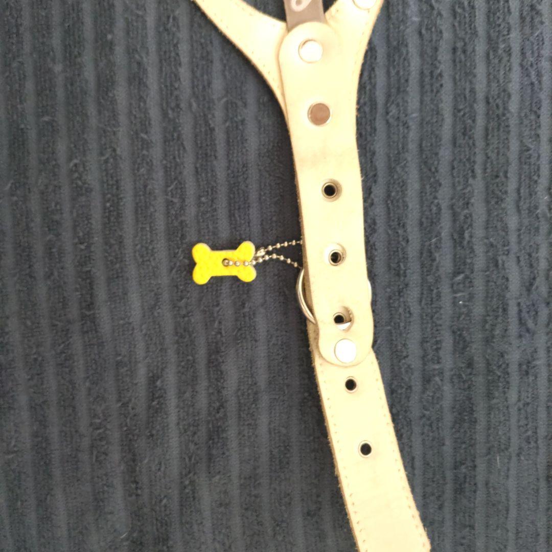 バディベルト ６号BBベルトハ－ネス！チャ－ム付き カナリアイエロー