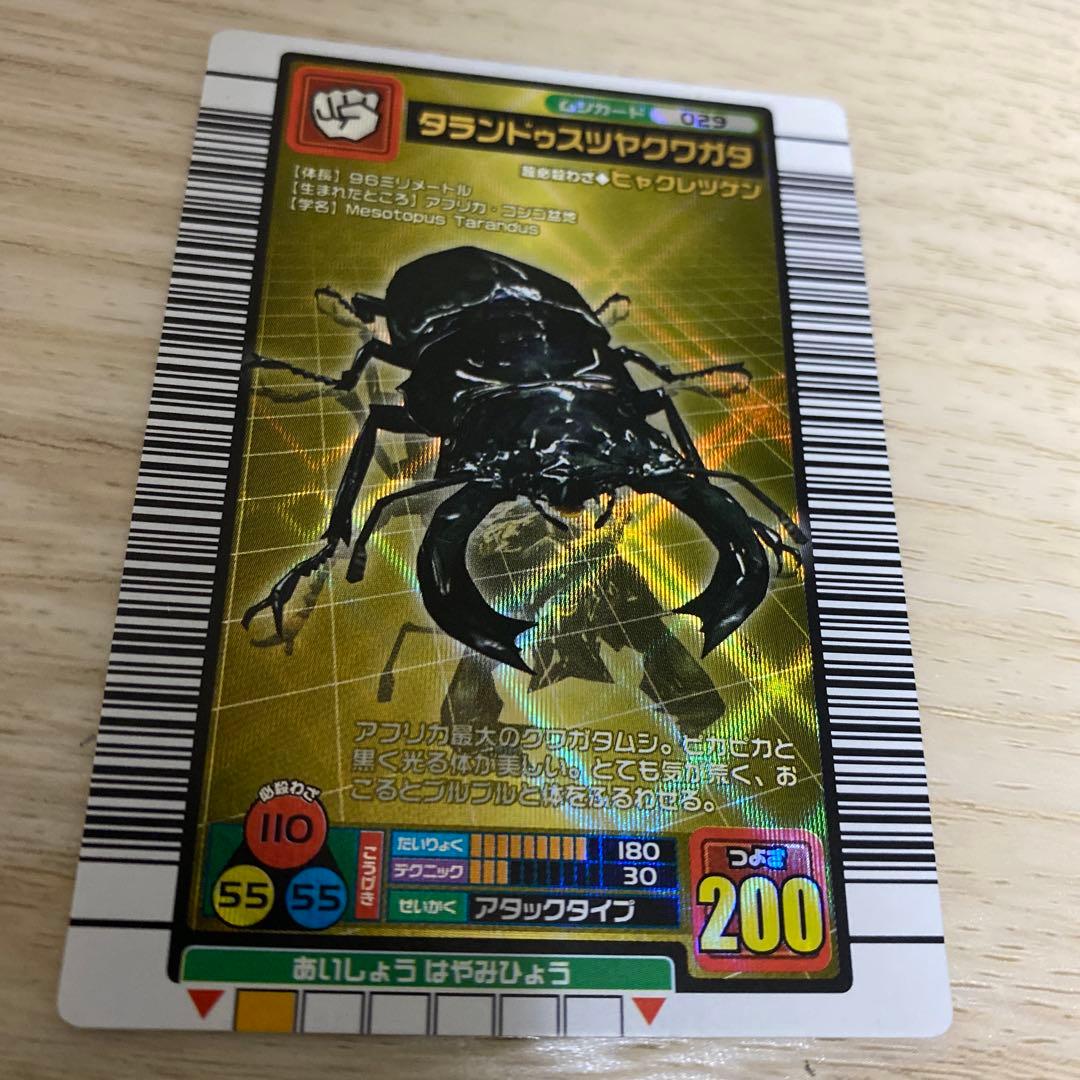 ムシキング　タランドゥスツヤクワガタ