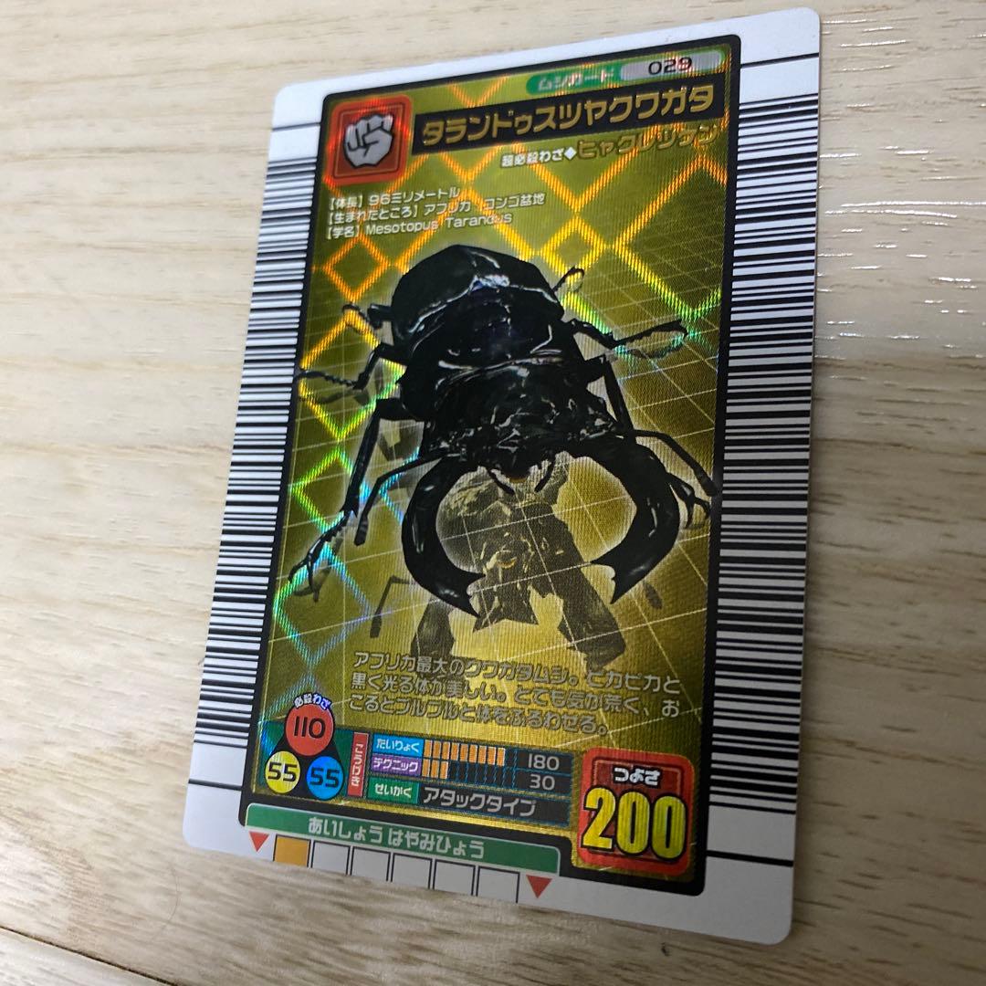 ムシキング　タランドゥスツヤクワガタ