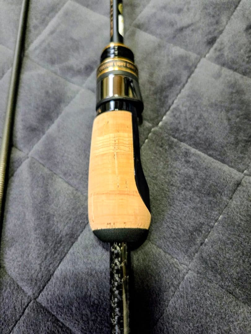 ゼスタ ブラックスター エクストラチューンド フルレンジコントローラー最終値下げ