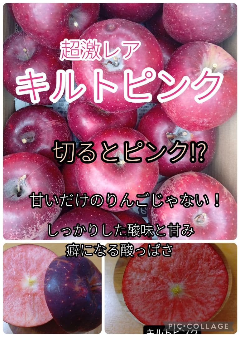 けんぼん　りんご詰め合わせ9キロ