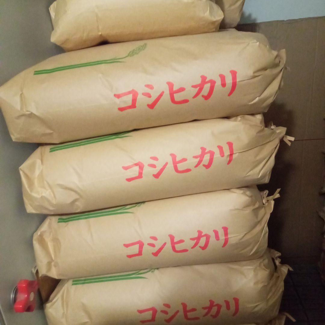 R7年産 新米 群馬県産 コシヒカリ 20キロ 玄米 送料込 20kg ②