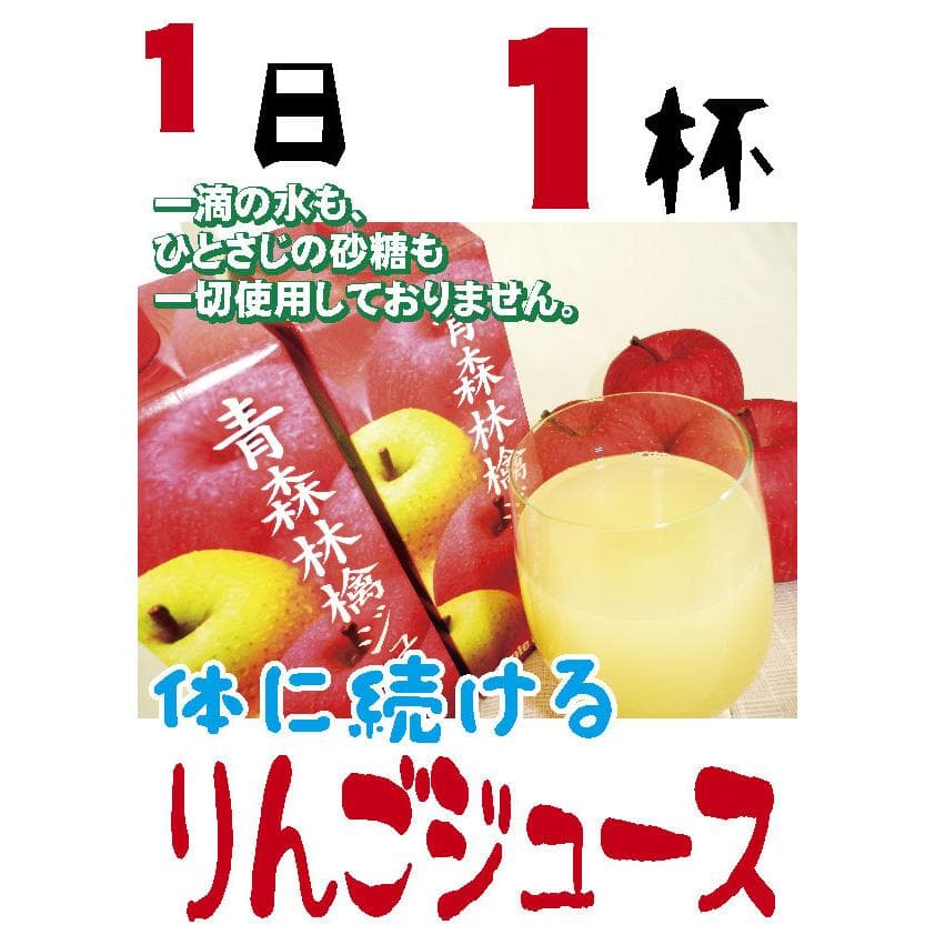 果汁100%アップルメイトりんごジュース1000ml紙パック3本入5箱/計15本