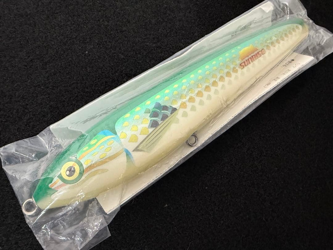 カーペンター　GTガンマ160新品carpenter シービーワン パドルベイト