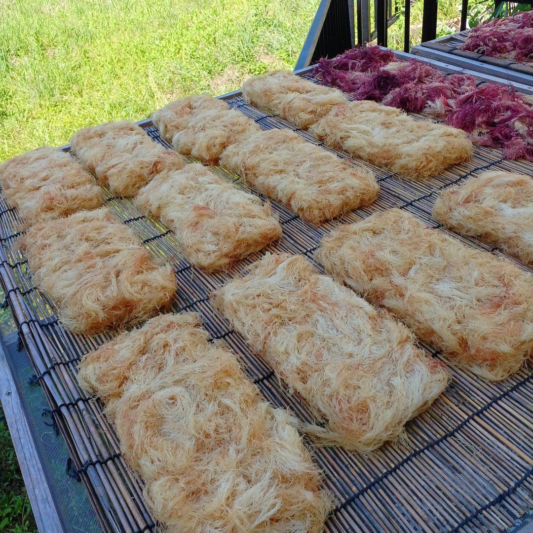 天日干してんぐさ　天草　テングサ　海藻　国産　愛媛産　無添加