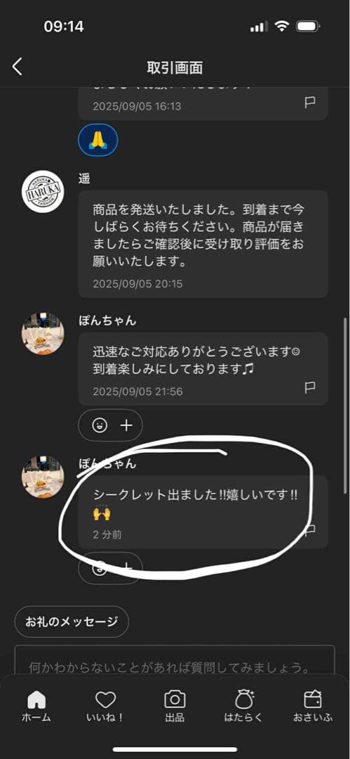 正規品・未開封】Labubu Big into Energy 2箱