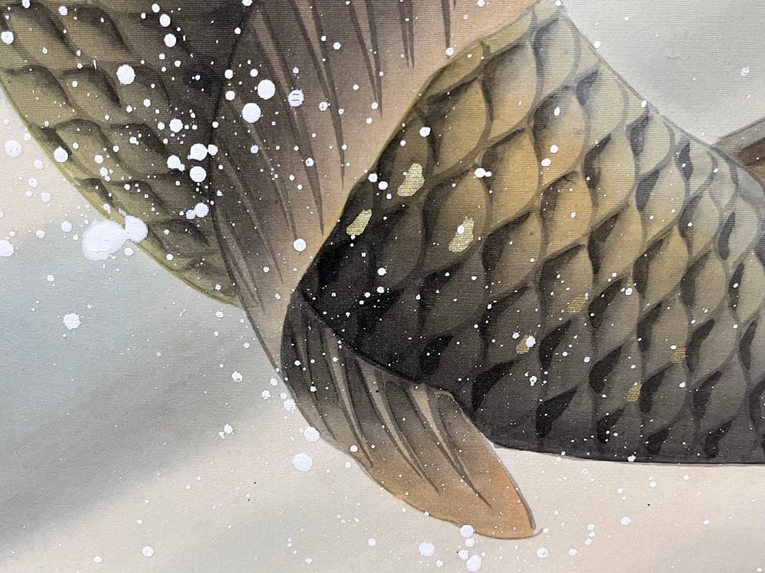 掛軸 光生『跳び鯉図』日本画 絹本 肉筆 共箱付 掛け軸 K990426