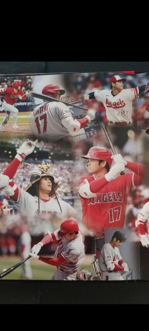 2023ALホームラン王獲得記念 大谷翔平PremiumFrameセット