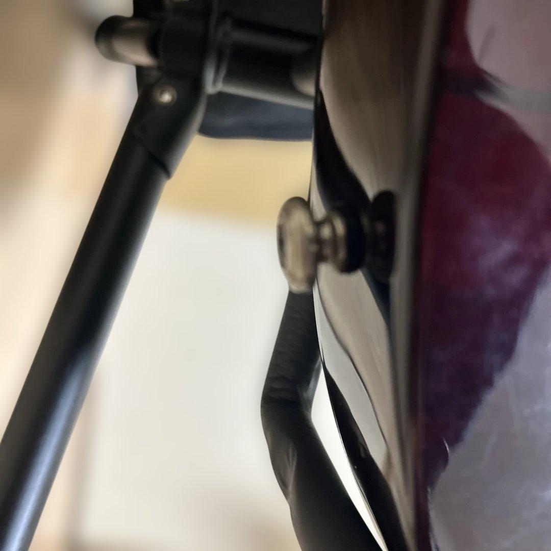 Schecter Hellraiser AD-C-4-HR スルーネック 保証書