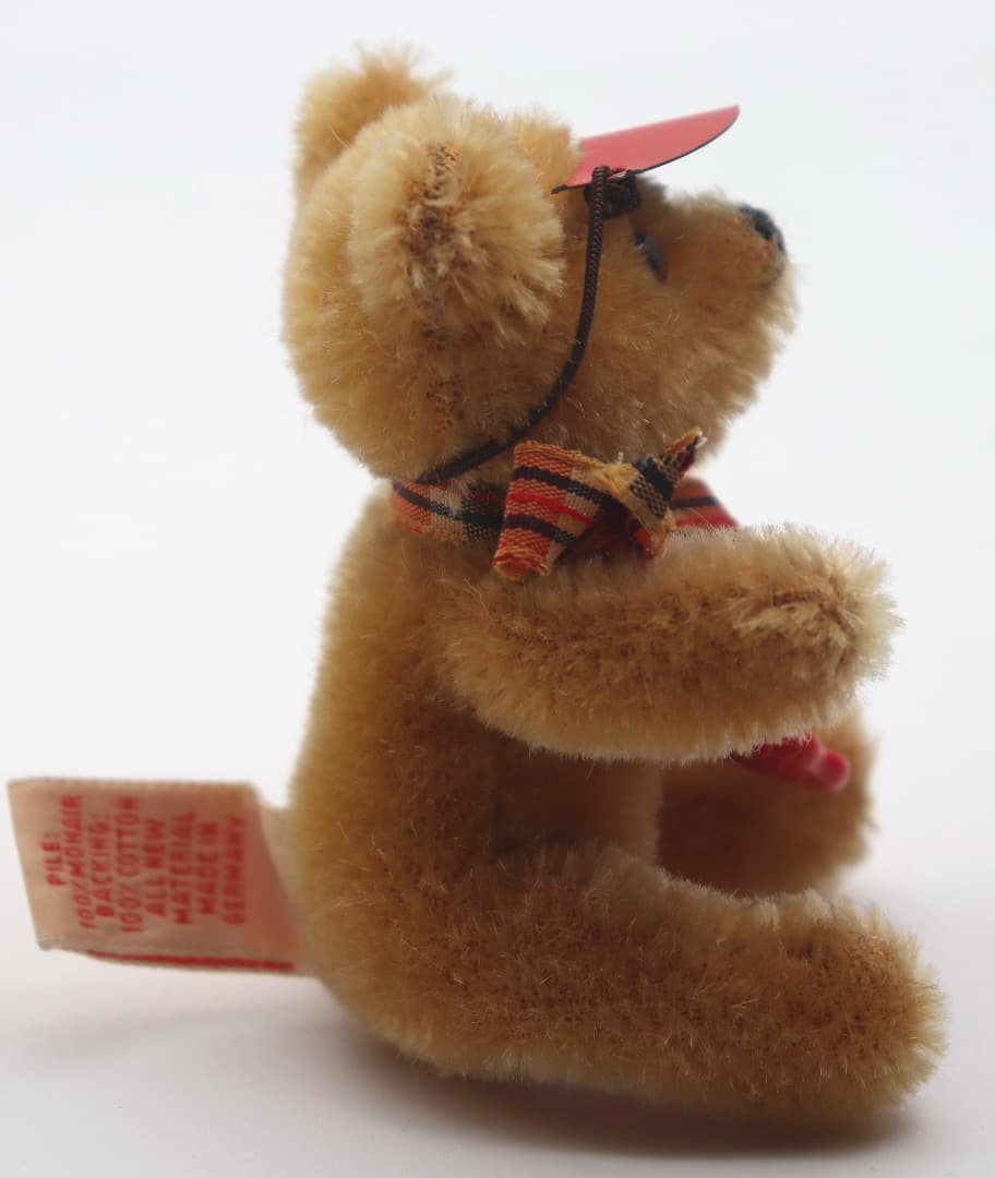 Teddy Bear with Tricycle Tucker＆Walther