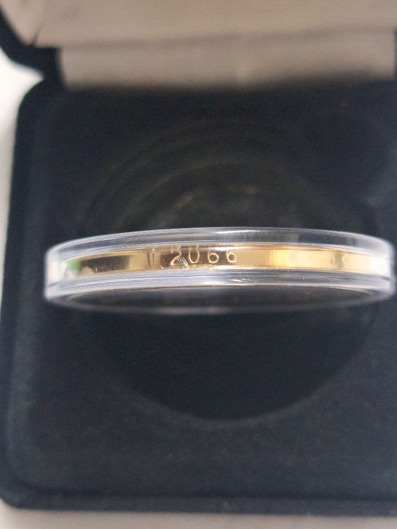 【大谷翔平 2024年】ワールドシリーズチャンピオンゴールド限定版