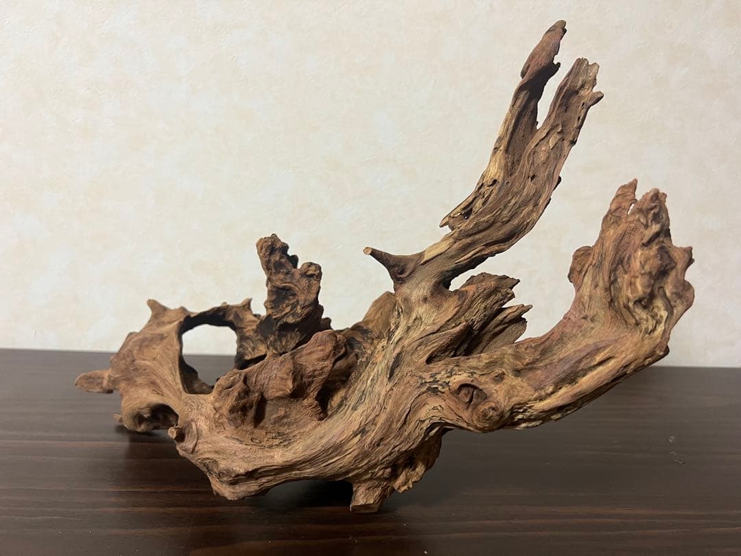 HX-003 流木　ホーンウッド　マシンガンウッド　アクアリウム　ブランチウッド