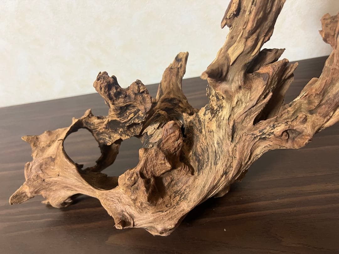 HX-003 流木　ホーンウッド　マシンガンウッド　アクアリウム　ブランチウッド