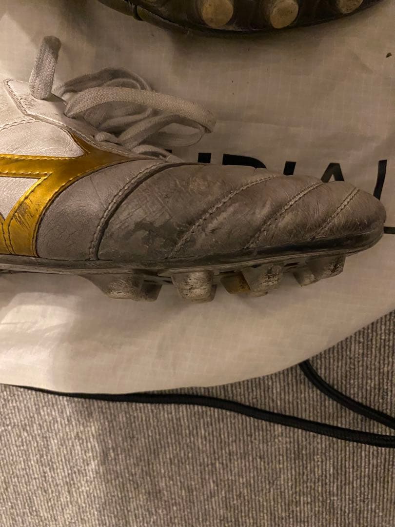 モレリア2Japan 【7.29日まで値下げ交渉頑張ります】