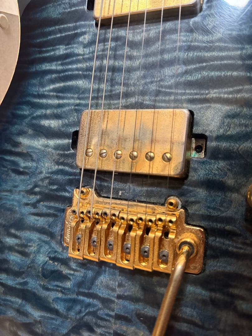 Sugi guitars DS496 IR オリジナルセミハード付き