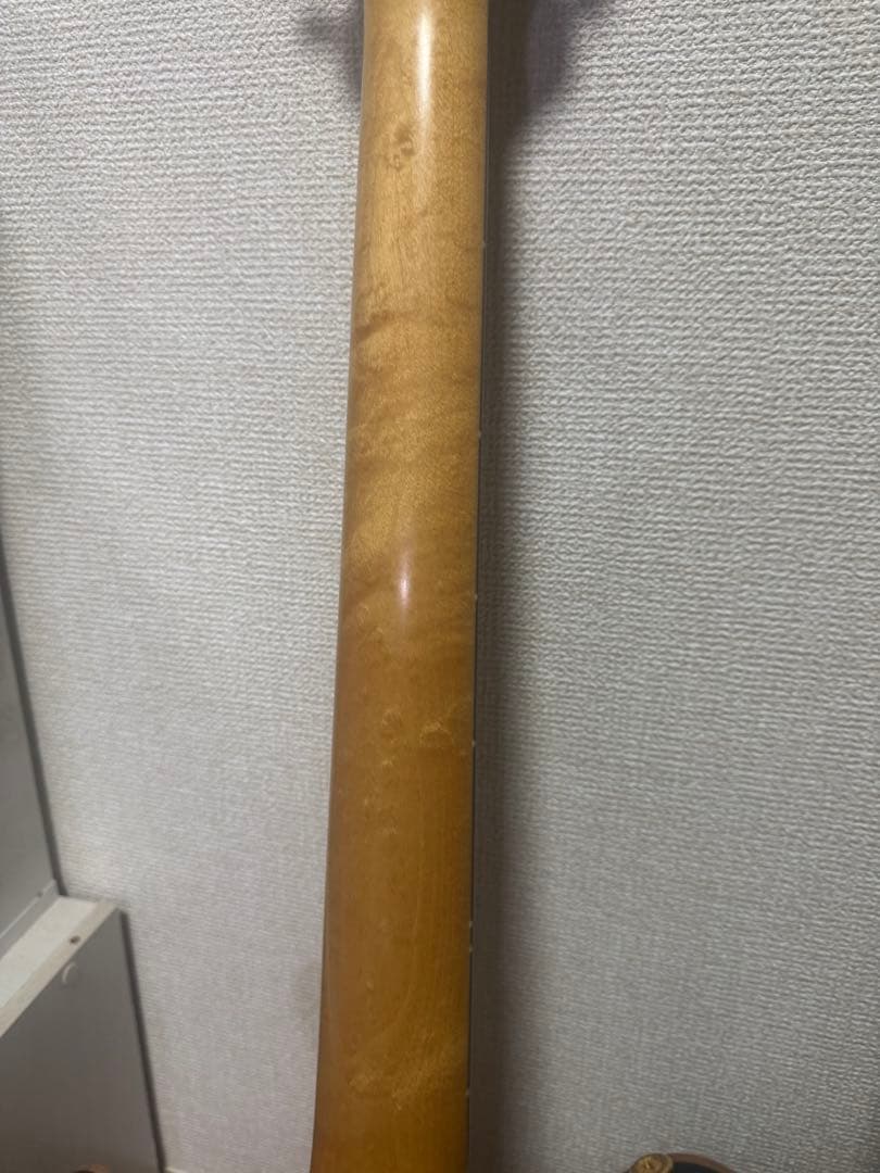 Sugi guitars DS496 IR オリジナルセミハード付き