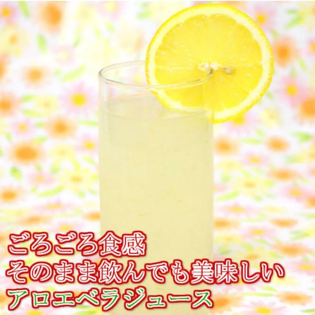 沖縄県産アロエベラ2L☓2本