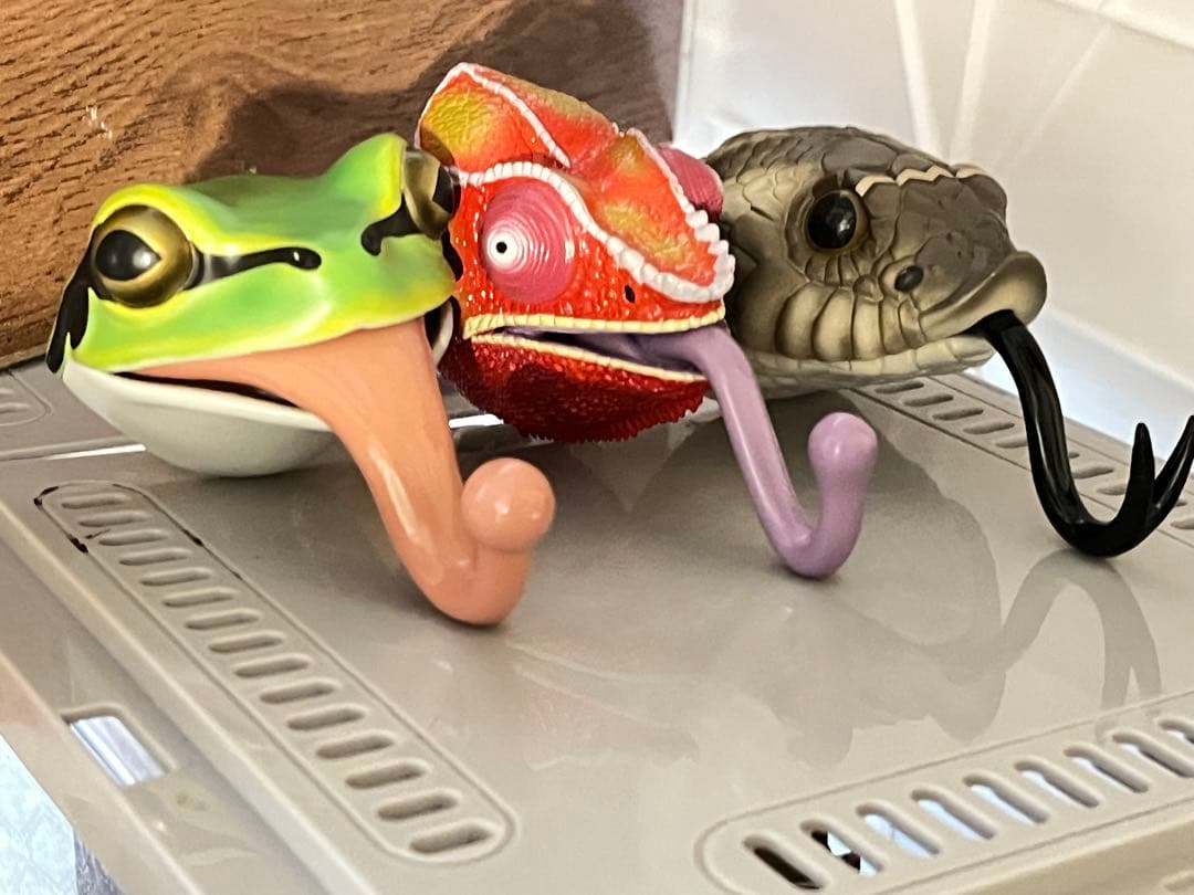 爬虫類 一番くじ A賞B賞D賞E賞ラストワン