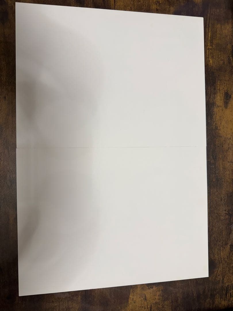 ONEPIECE 複製原画 ビブルの秘宝② エース