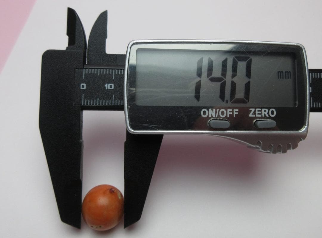 本珊瑚 珊瑚玉 緒締玉 A サンゴ さんご アンティーク　80128