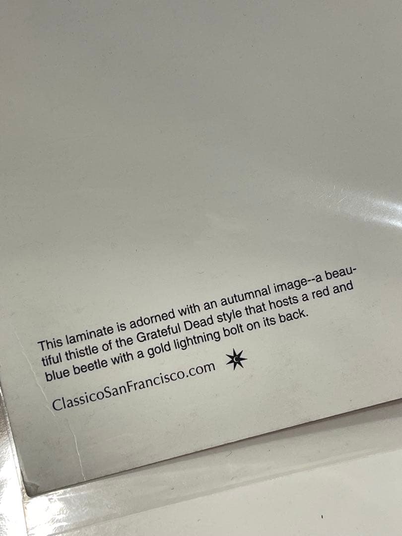 2000年代 グレイトフル・デッド ポスター ポストカード 大きいサイズ レア