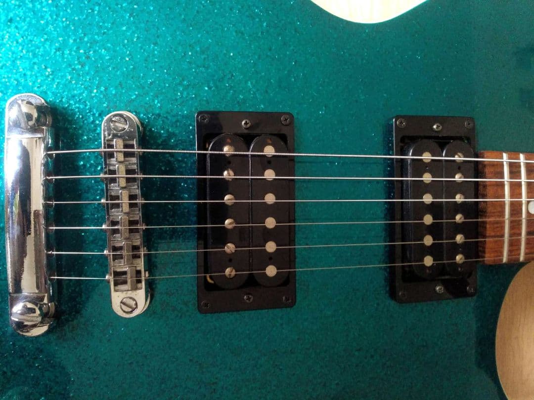 BURNY LS-65　バーニー　フェルナンデス　グリーンスパークル