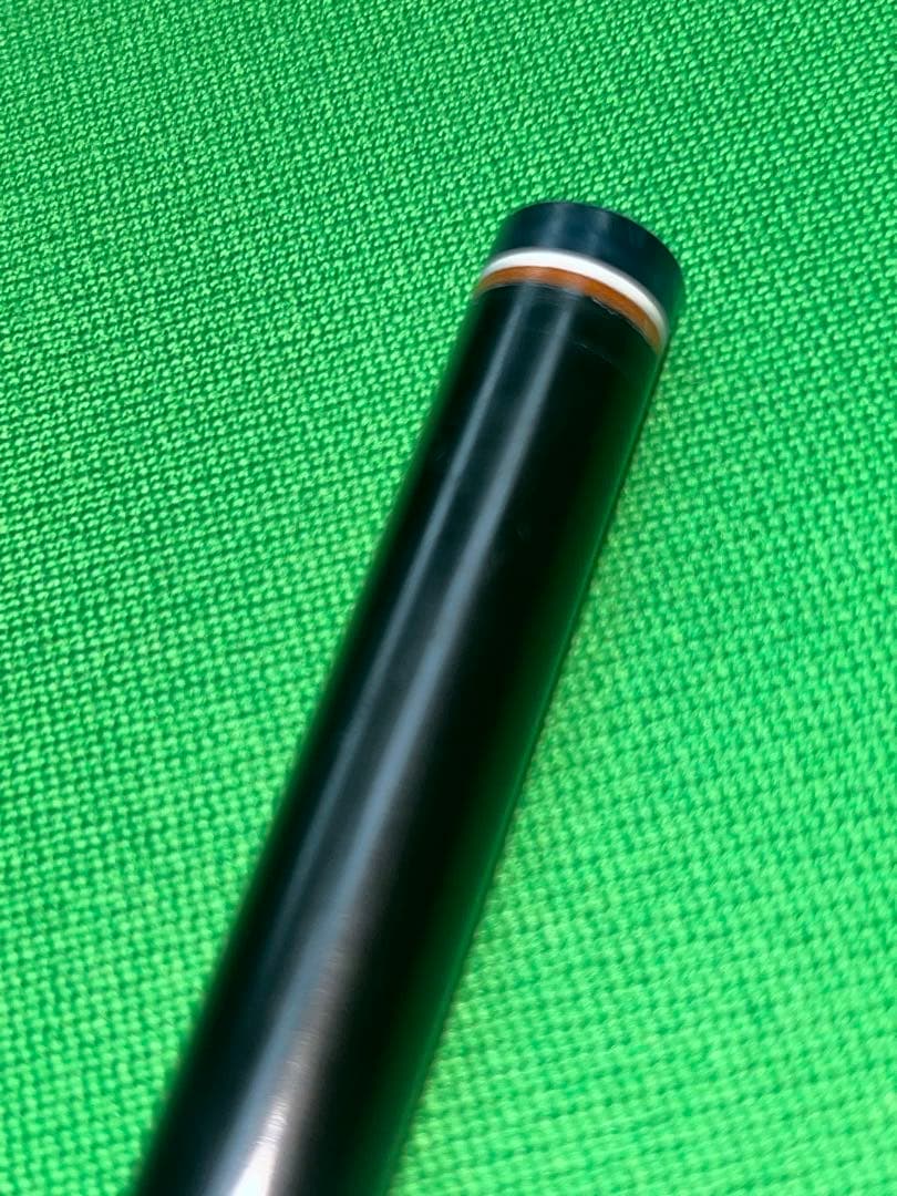 コモドドラゴン様