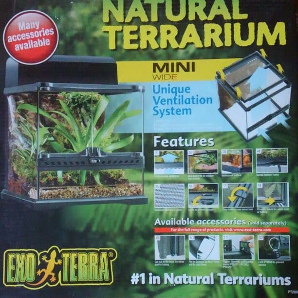 爬虫類シークケース