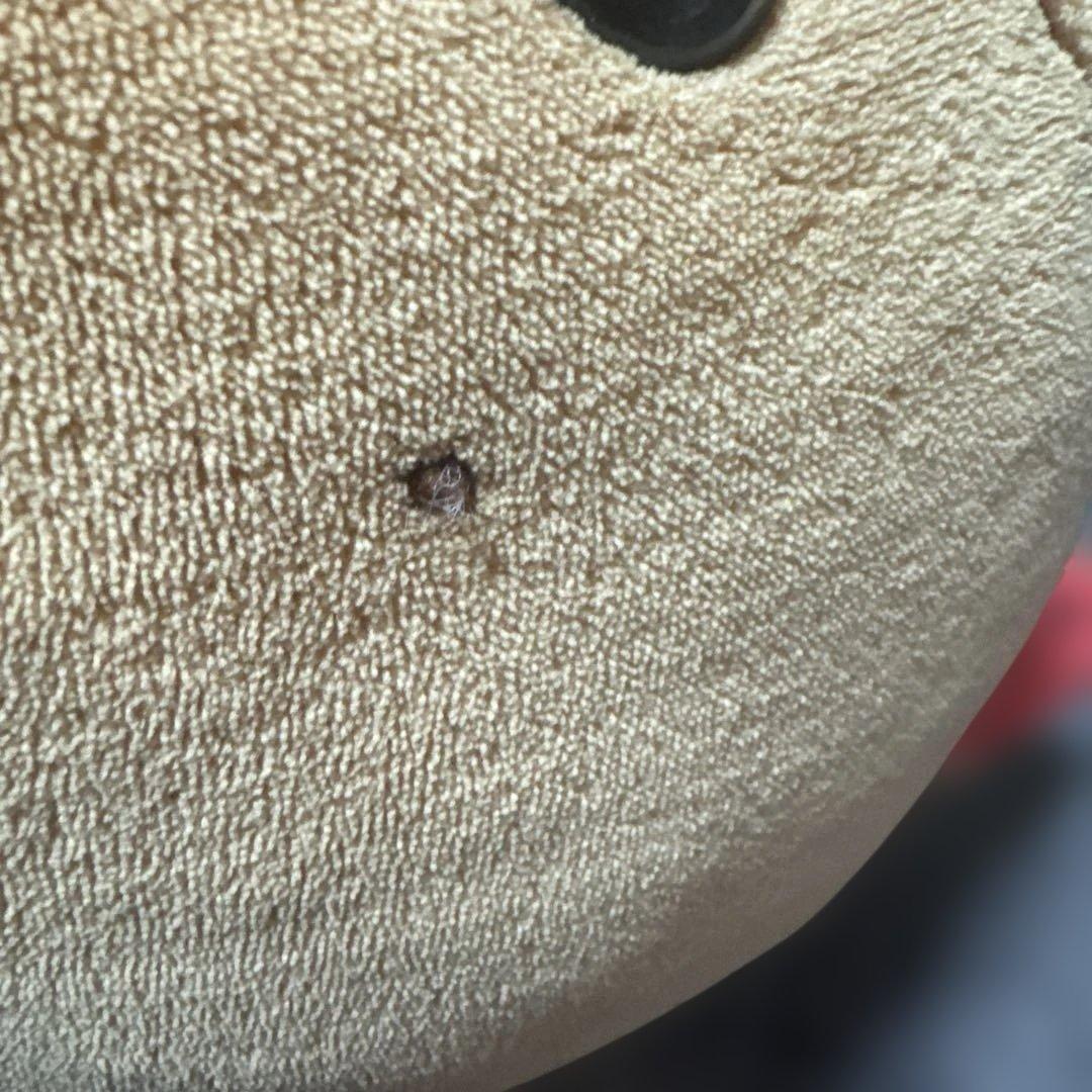 タグ付　小麦色にへんしん　しろたんだきぐるみ♡日焼けぬいぐるみ　すいか