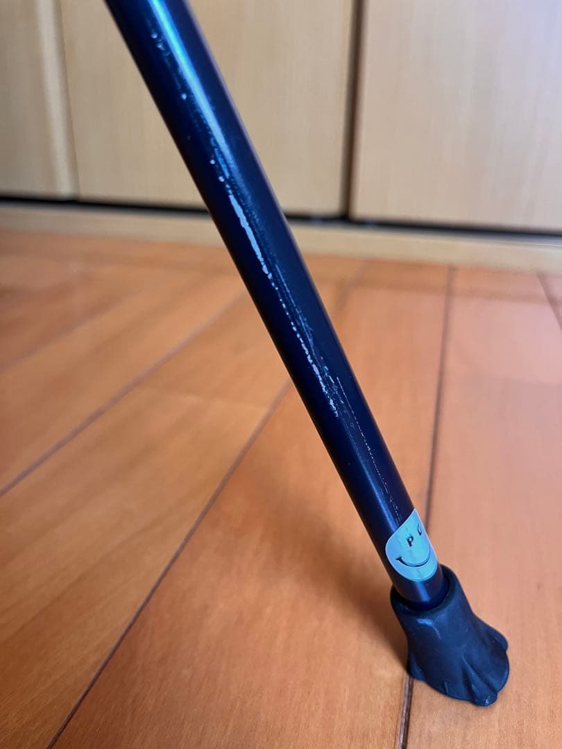 PEARLY GATES キャディバッグ