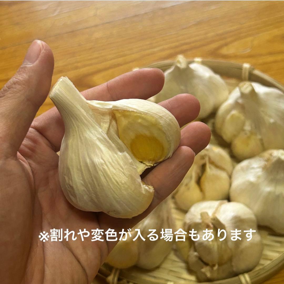 【お買い時】青森県産にんにく L 20kg福地ホワイト六片 激安 家庭用 加工用