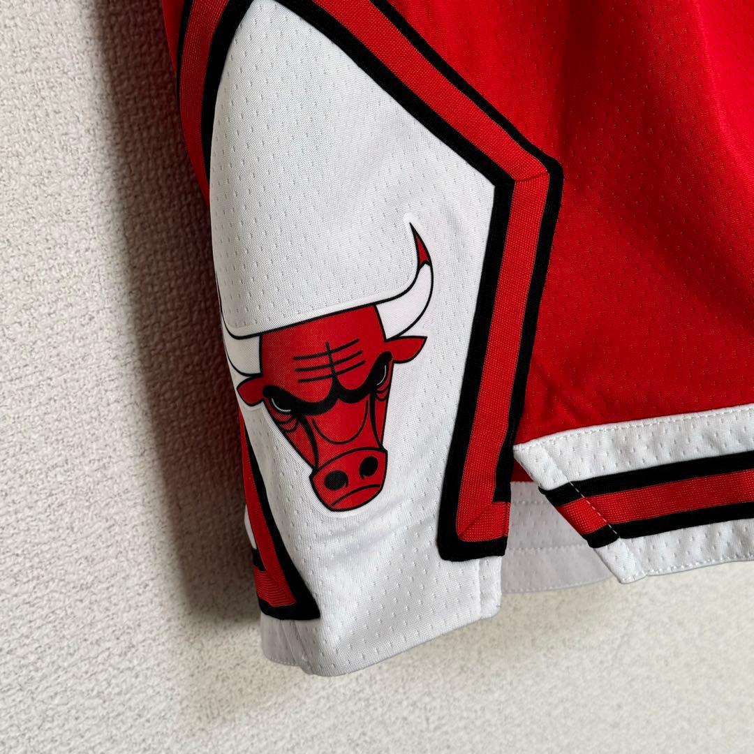NBA シカゴブルズ パンツ レッド バスパン Lサイズ ナイキ BULLS