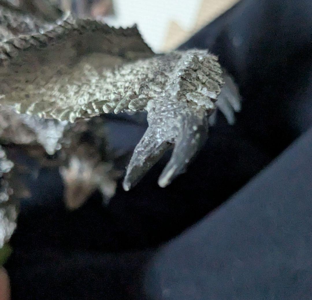 ス*ム様 クリエイターズモデル モンスターハンター 銀火竜 リオレウス 希少種