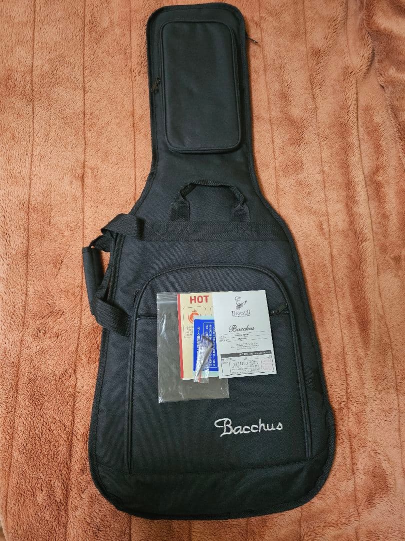 Bacchus BARON−FM HB エレキギター