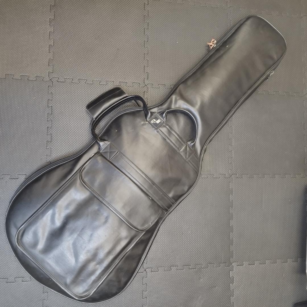 TEISCO テスコ S-2 ビザールギター 白系