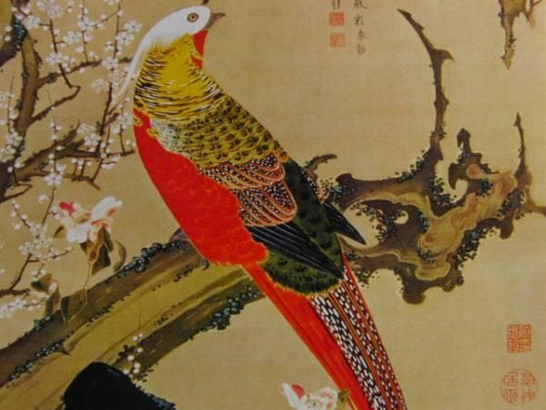 伊藤若沖、白梅錦鶏図、超希少・大判画集画、新品高級額装付