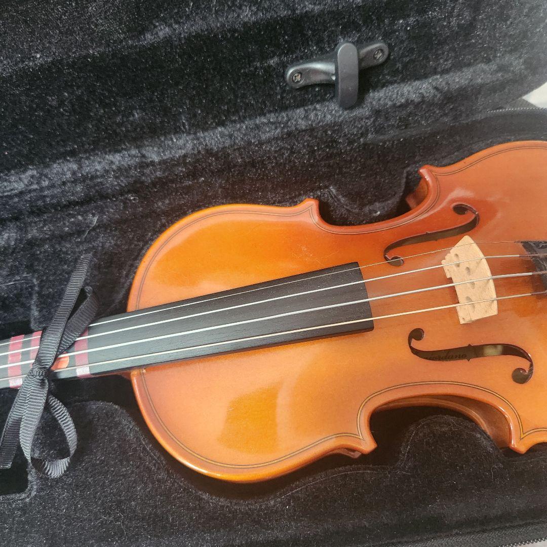 Carlogiordano vs-1 ヴァイオリン 1/8　2020年