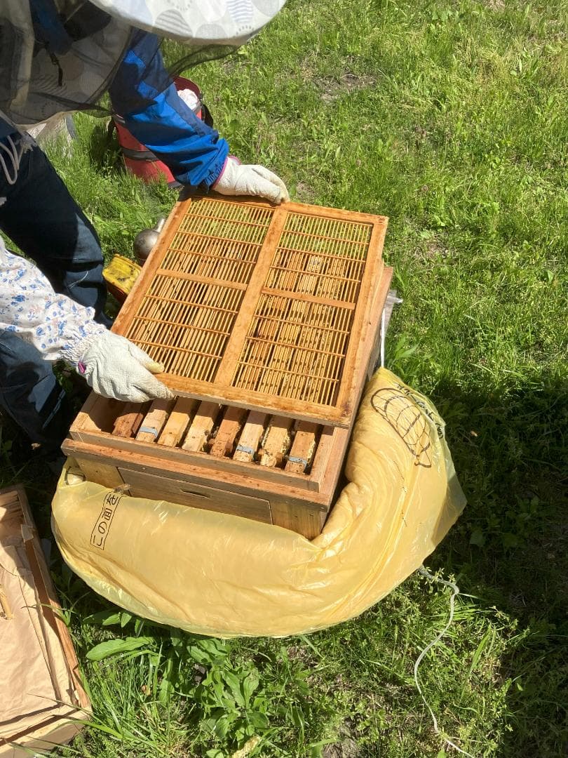 【くぅ】栗蜜 1000g 3本 国産蜂蜜 はちみつ