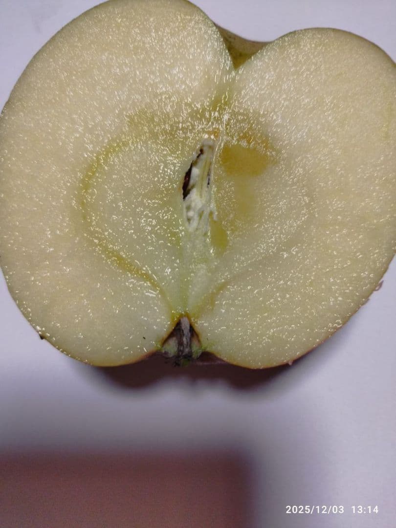 葉取らずサンフジ良品20kg以上 春になる前の値下げ中 限定残り僅か