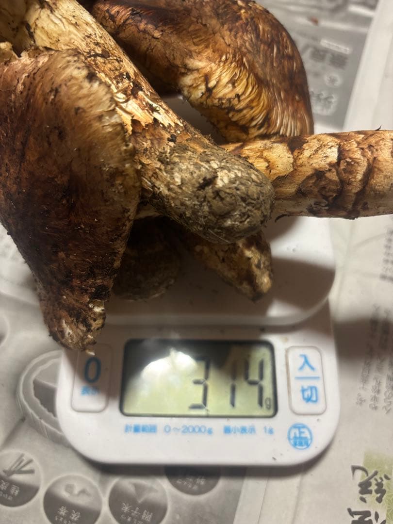 岩手県産松茸314g訳あり品