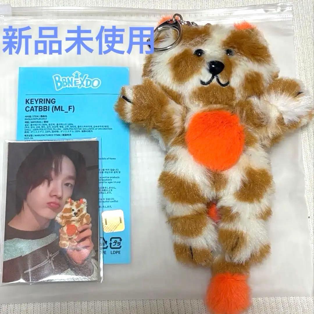 BOYNEXTDOOR ソンホ　ケッピ　CATBBI キーリング　プネクド