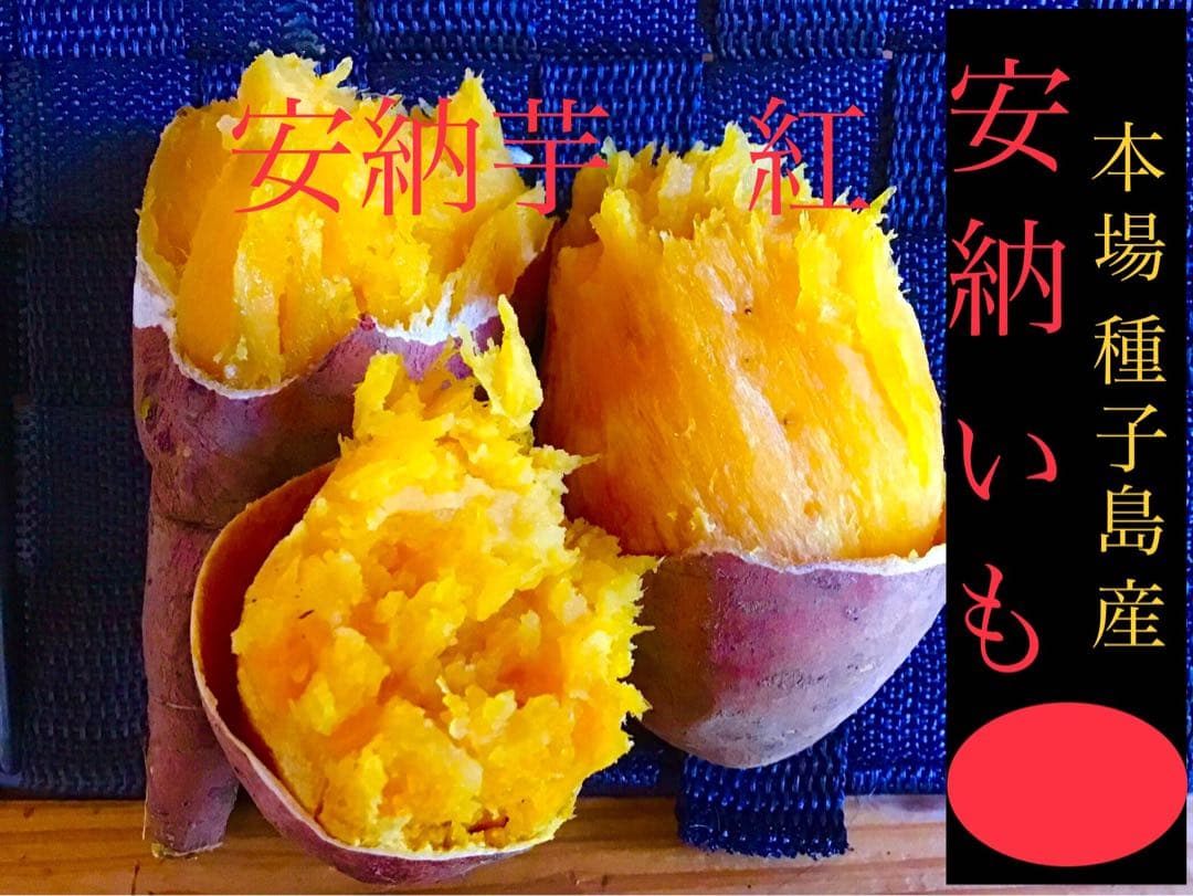 安納芋種子島産　20kg MLサイズ 焼き芋に最適　さつまいもの王道　#安納芋
