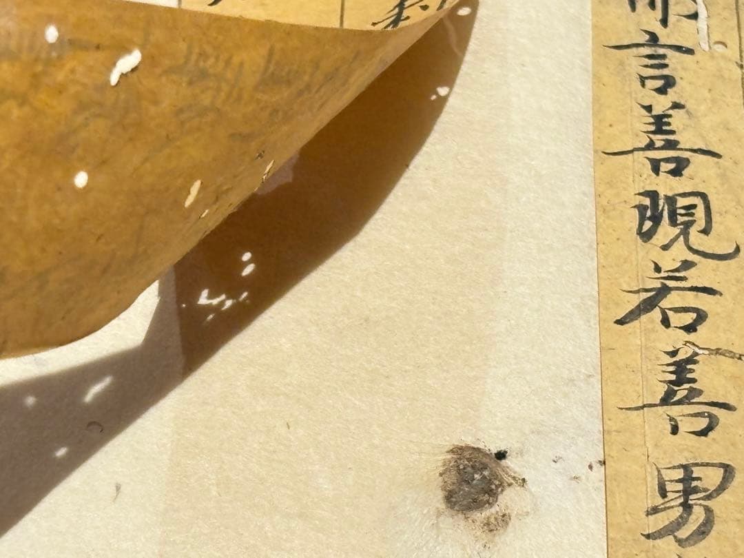 「鎌倉時代 古写経 断簡」2行3種|お経 経典 和本 古典籍 仏教書 写本